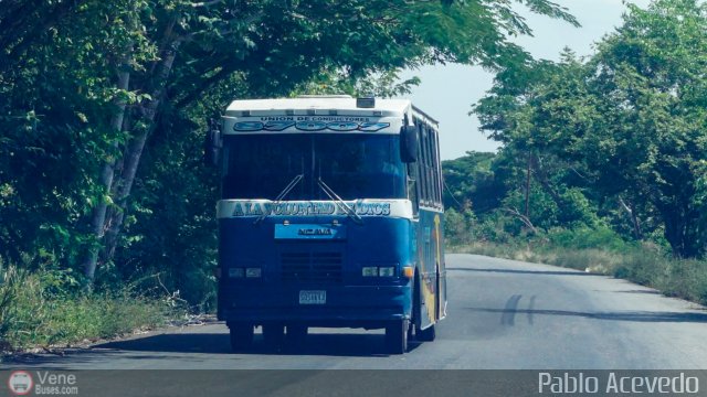 Particular 17 por Pablo Acevedo