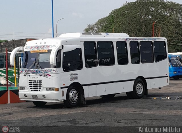 A.C. Transporte Paez 049 por Antonio Mittilo