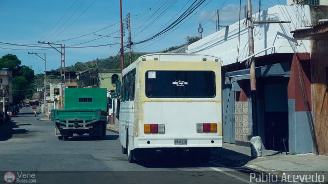 Uni�n Venezuela 05 por Pablo Acevedo