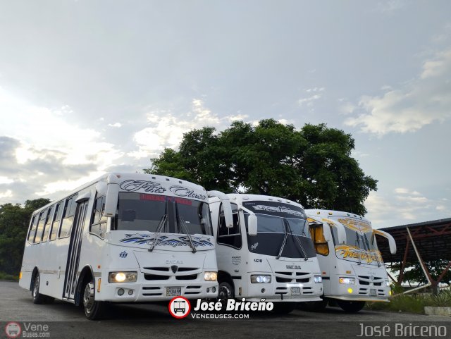 Garajes Paradas y Terminales Valera  por Jos� Brice�o