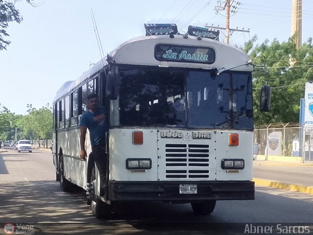 Colectivos La Rosita 008 por Abner Sarcos