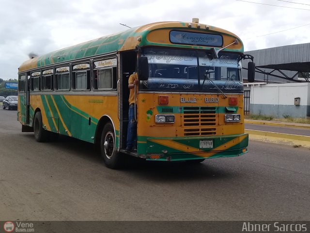 ZU - Colectivos Concepci�n 006 por Abner Sarcos