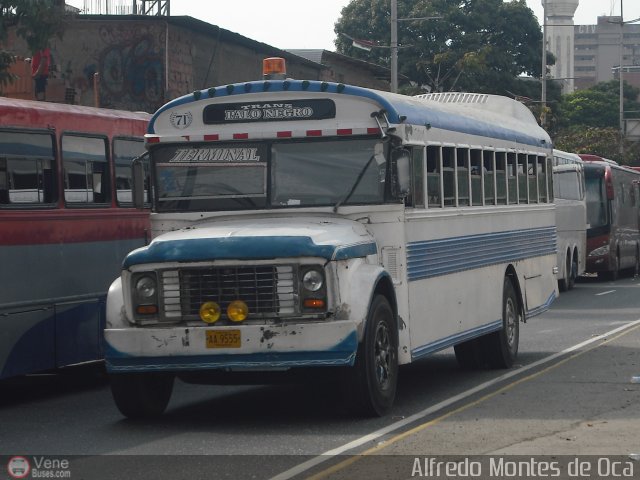 Transporte Colectivo Palo Negro 71 por Alfredo Montes de Oca