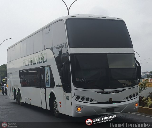 Expresos Flamingo 0090 por Daniel Fernndez