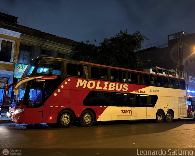 Transportes y Servicios Molibus 957 por Leonardo Saturno