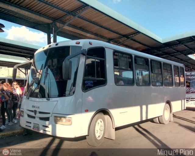 A.C. de Transporte N�mero Uno R.L. 049 por Miguel Pino