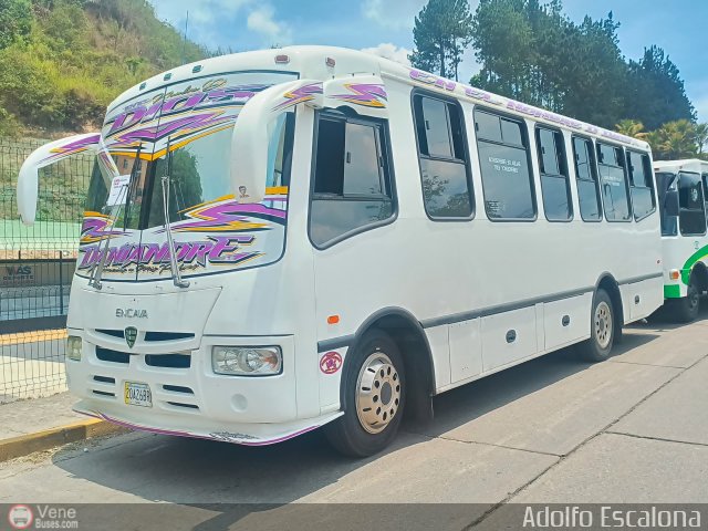 Organizacin Guaicamacuto 225 por Adolfo Escalona