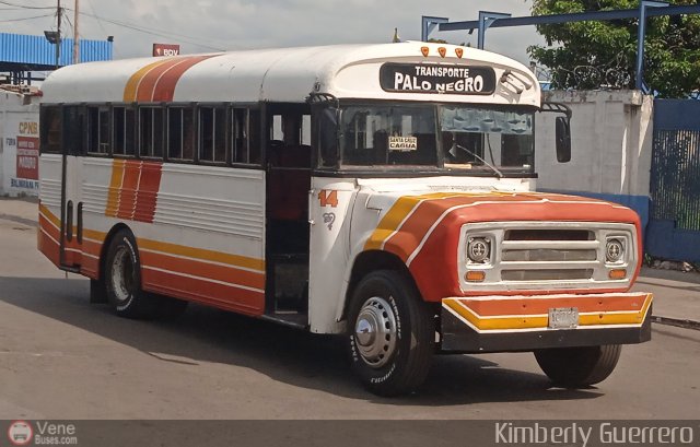Transporte Colectivo Palo Negro 014 por Kimberly Guerrero
