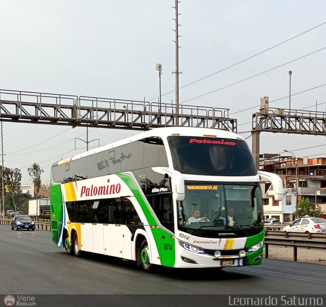 Expreso Internacional Palomino 8014 por Leonardo Saturno