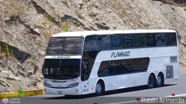 Expresos Flamingo 0091 por Pablo Acevedo