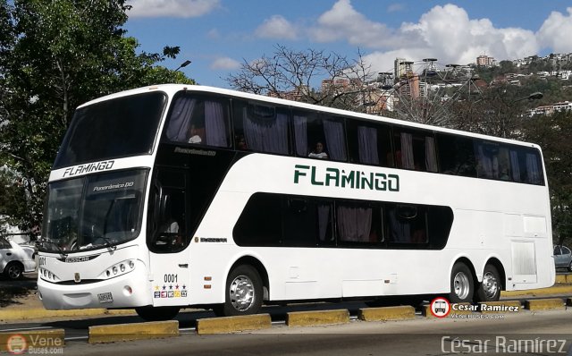 Expresos Flamingo 0001 por Csar Ramrez