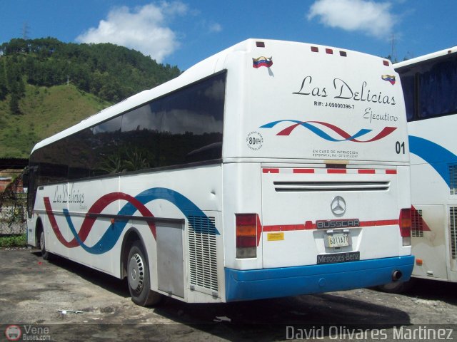 Transporte Las Delicias C.A. E-01 por David Olivares Martinez