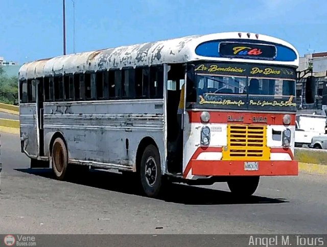 Colectivos Tul C.A. 06 por ngel Delgado