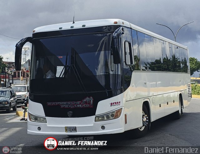 Expresos Pegamar 1011 por Daniel Fernndez