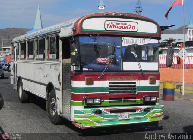 Autobuses de Tinaquillo 06 por Andr�s Ascanio