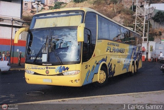 Expresos Flamingo 51 por J. Carlos Gmez