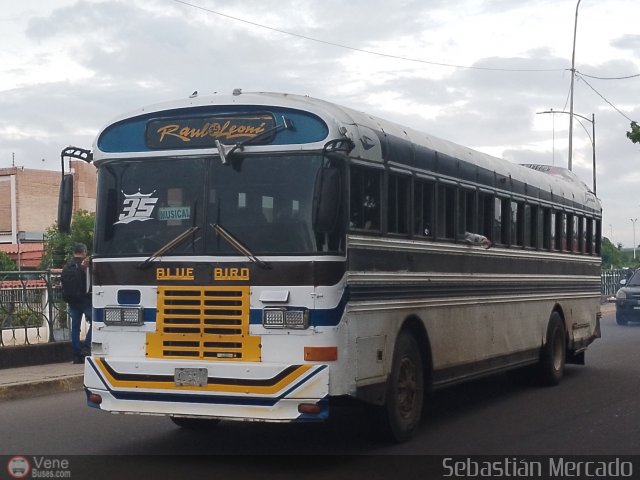 ZU - Ra�l Leoni 35 por Sebasti�n Mercado