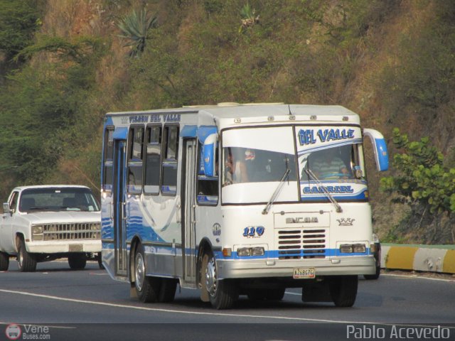 A.C. de Transporte La Raiza 119 por Pablo Acevedo