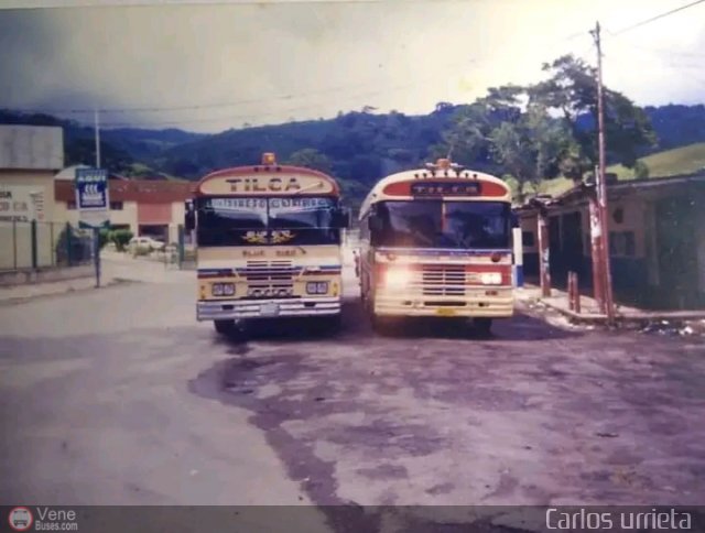 L�nea Tilca - Transporte Inter-Larense C.A. 02 por Mois�s Silva Colombo