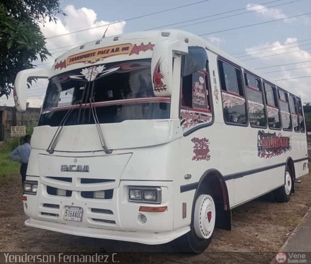 A.C. Transporte Paez 040 por Yenderson Cepeda