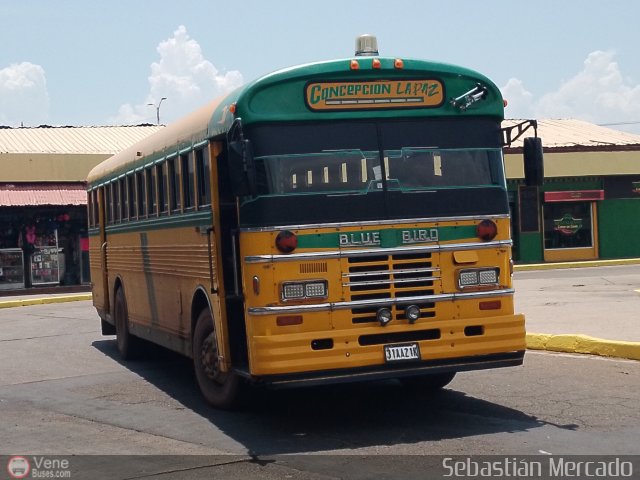 ZU - Colectivos Concepcin 106 por Sebastin Mercado