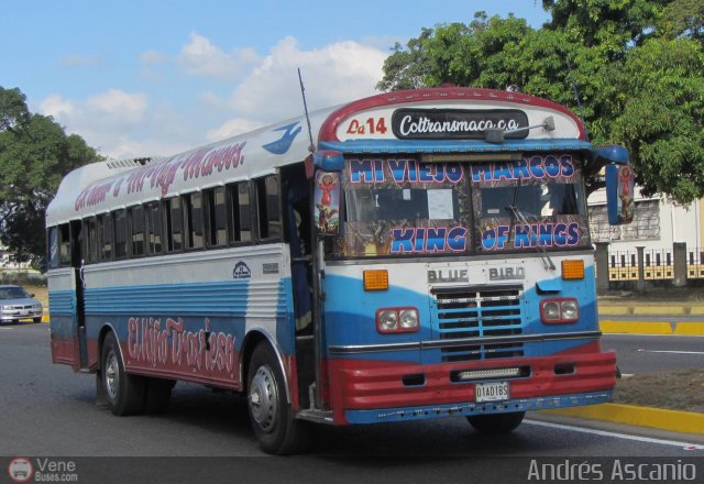 Colectivos Transporte Maracay C.A. 14 por Andr�s Ascanio