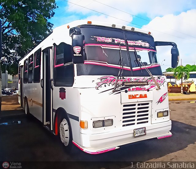 Grupo de Transporte Los Intendentes 016 por Jos�as Calzadilla