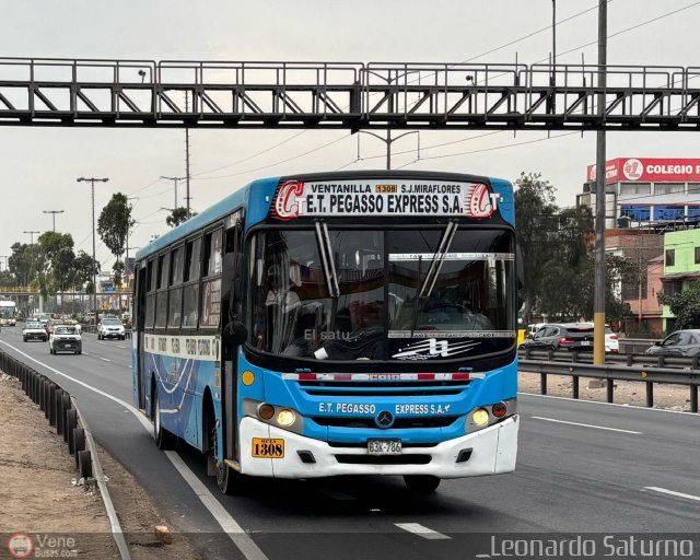 E.T. Pegasso Express S.A. I86 por Leonardo Saturno