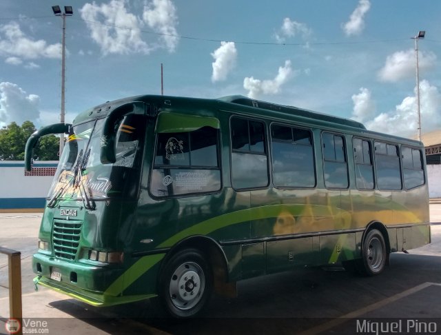 Transporte Nueva Generaci�n 0001 por Miguel Pino