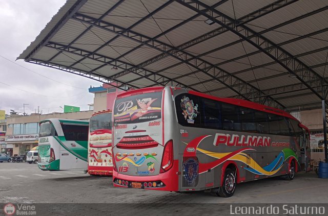 Garajes Paradas y Terminales Tulc�n  por Leonardo Saturno