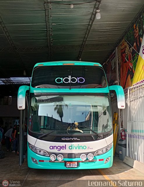 Tours Angel Divino S.A.C. 014 por Leonardo Saturno