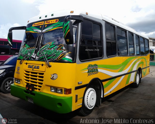 A.C. Transporte Paez 078 por Antonio Mittilo