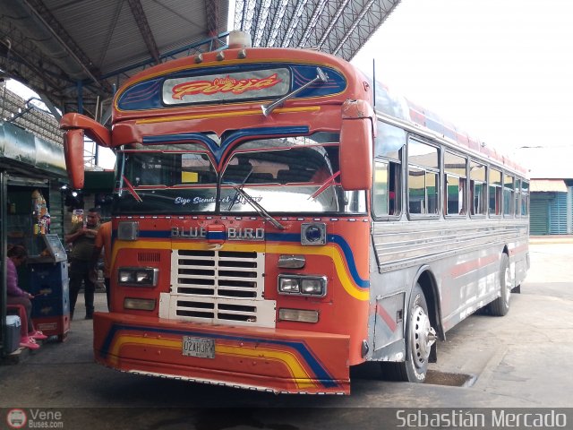 Colectivos Perij 11 por Sebastin Mercado