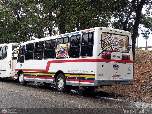 Transporte Gran Orinoco S.C. 52 por �ngel Sal�n