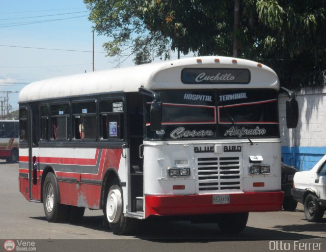 AR - U.C. Hospital - Terminal 52 por Otto Ferrer