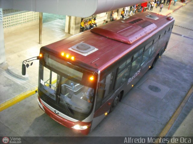 Bus CCS 1264 por Alfredo Montes de Oca