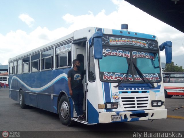 Transporte Guacara 0056 por Aly Baranauskas