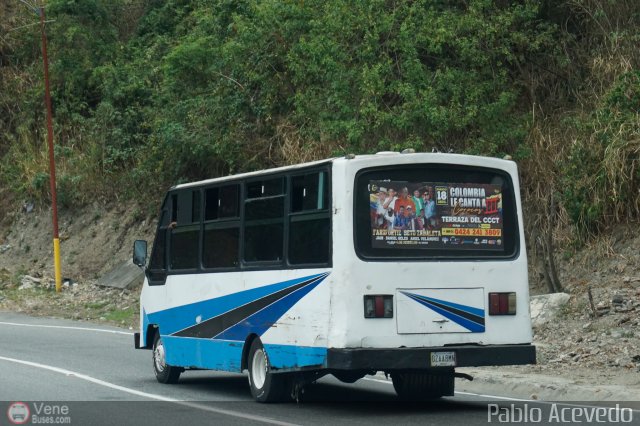 DC - Tigres de Plan de Manzano 202 por Pablo Acevedo