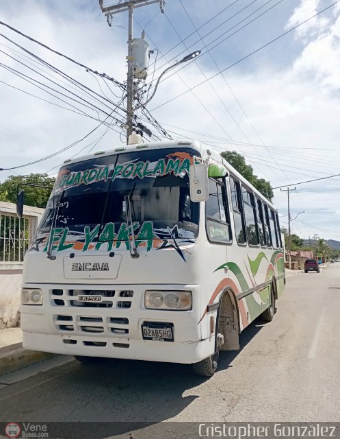 NE - A.C. Lnea La Guardia 067 por Cristopher Gonzlez