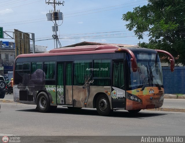 TransApure 99 por Antonio Mittilo