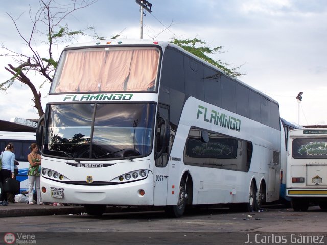 Expresos Flamingo 0077 por J. Carlos Gmez