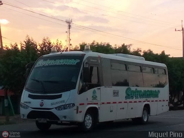 Turismos 0687 por Miguel Pino