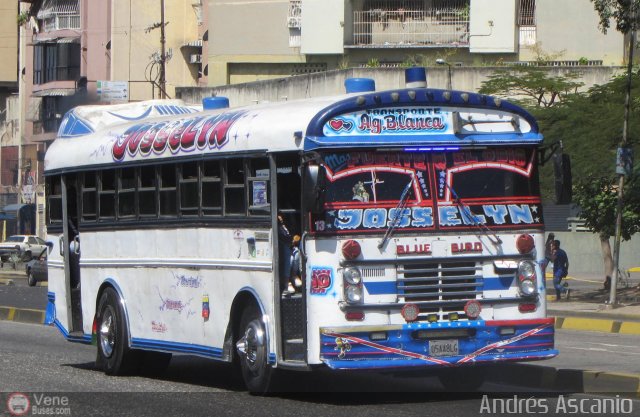 Transporte Agua Blanca 10 por Andr�s Ascanio