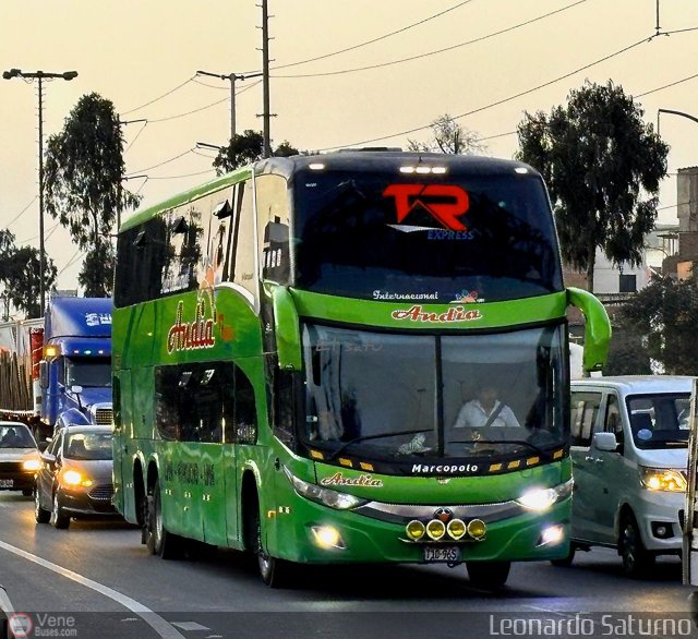 Transporte Internacional Andia 2020 por Leonardo Saturno