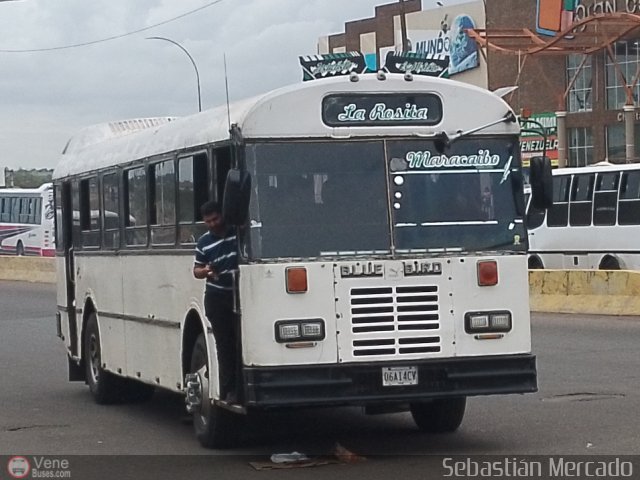 Colectivos La Rosita 008 por Sebastin Mercado