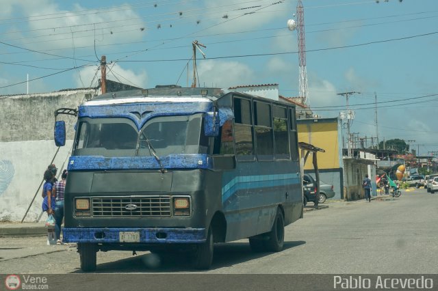 Particular o Desconocido Miranda por Pablo Acevedo