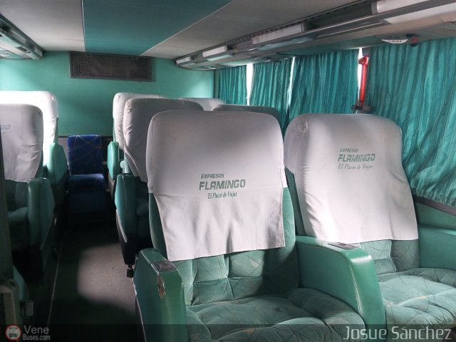 Expresos Flamingo 0141 por Josue Snchez
