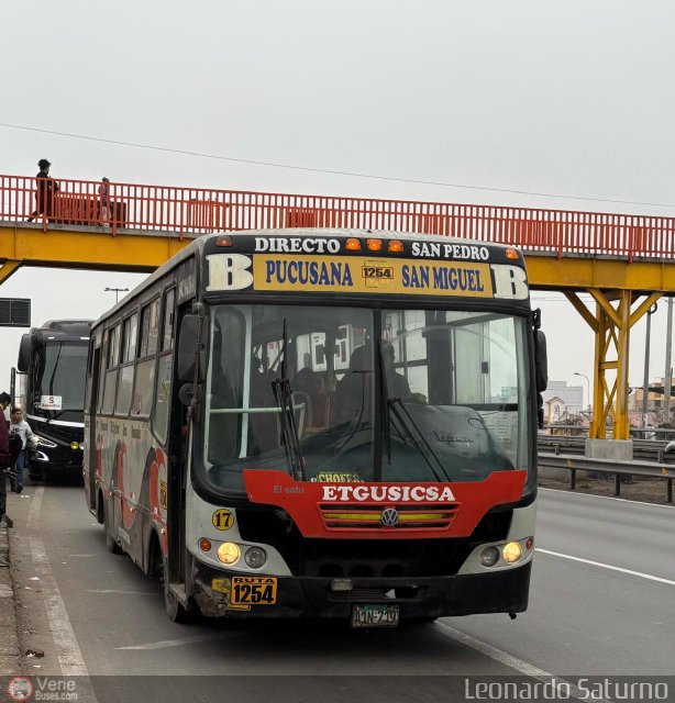 E.T. y Servicios Guadulfo Silva Carbajal 017 por Leonardo Saturno