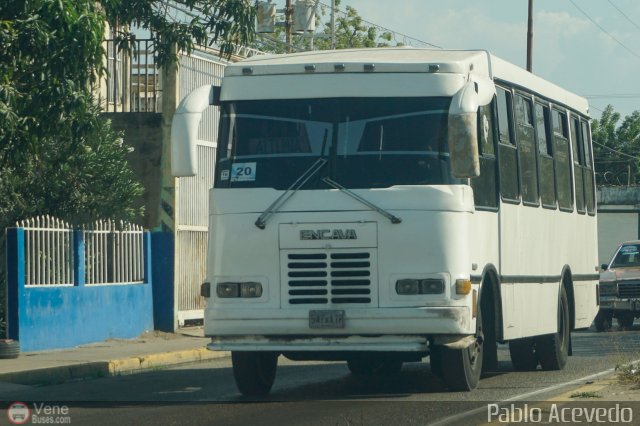 Particular o Desconocido 20 por Pablo Acevedo