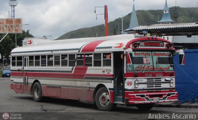 Expresos G�ig�e 24 por Andr�s Ascanio